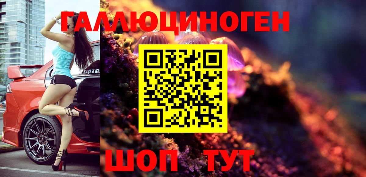 Псилоцибиновые грибы Psilocybe Унеча