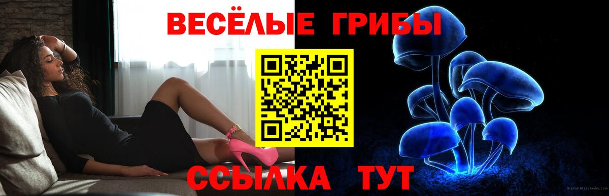 Унеча  Галлюциногенные грибы мицелий  Галлюциногенные грибы мицелий  Вход с VPN 